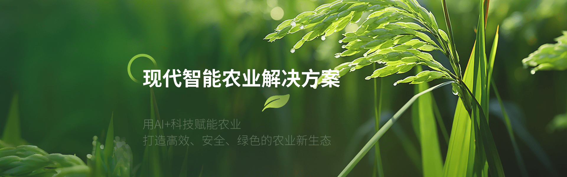 AI智能体